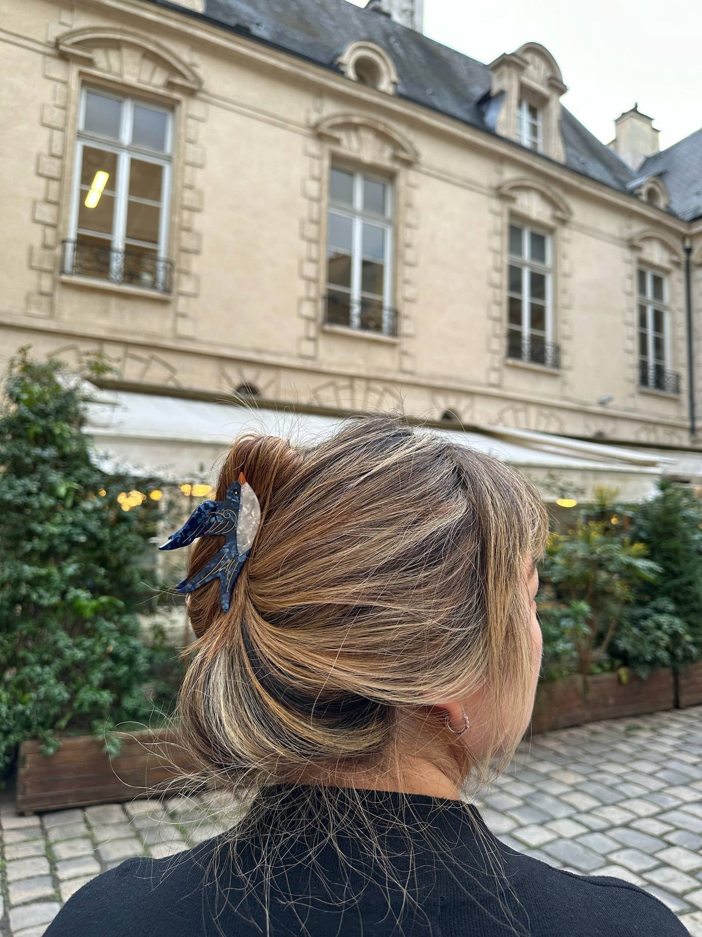 Hand-painted Swallow Bird Claw Hair Clip