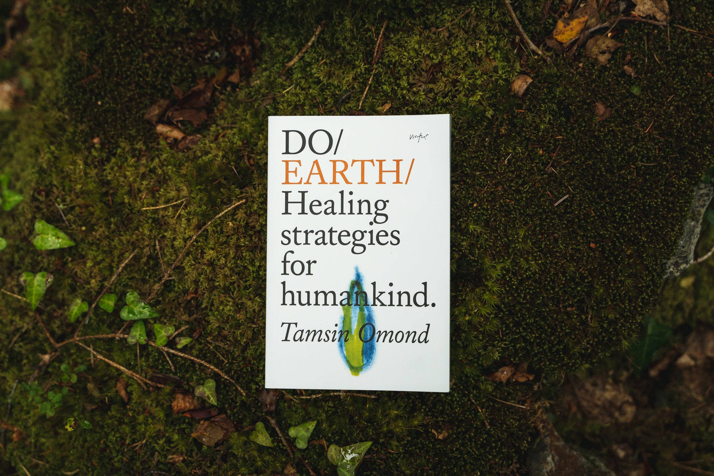 Do Earth, Guide to Community and Climate Change: Paperback