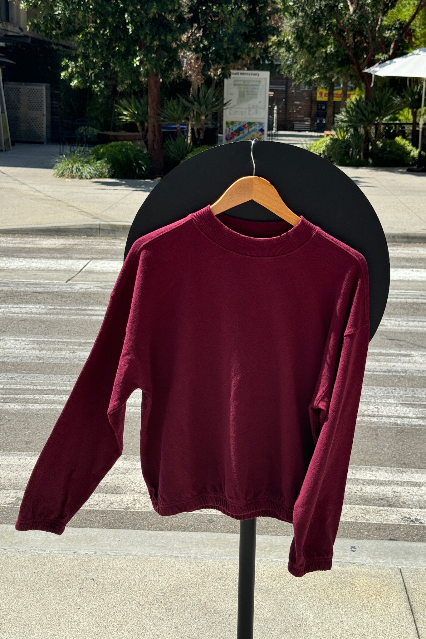 Le Bon Shoppe Daisy Long Sleeve Top | Cabernet
