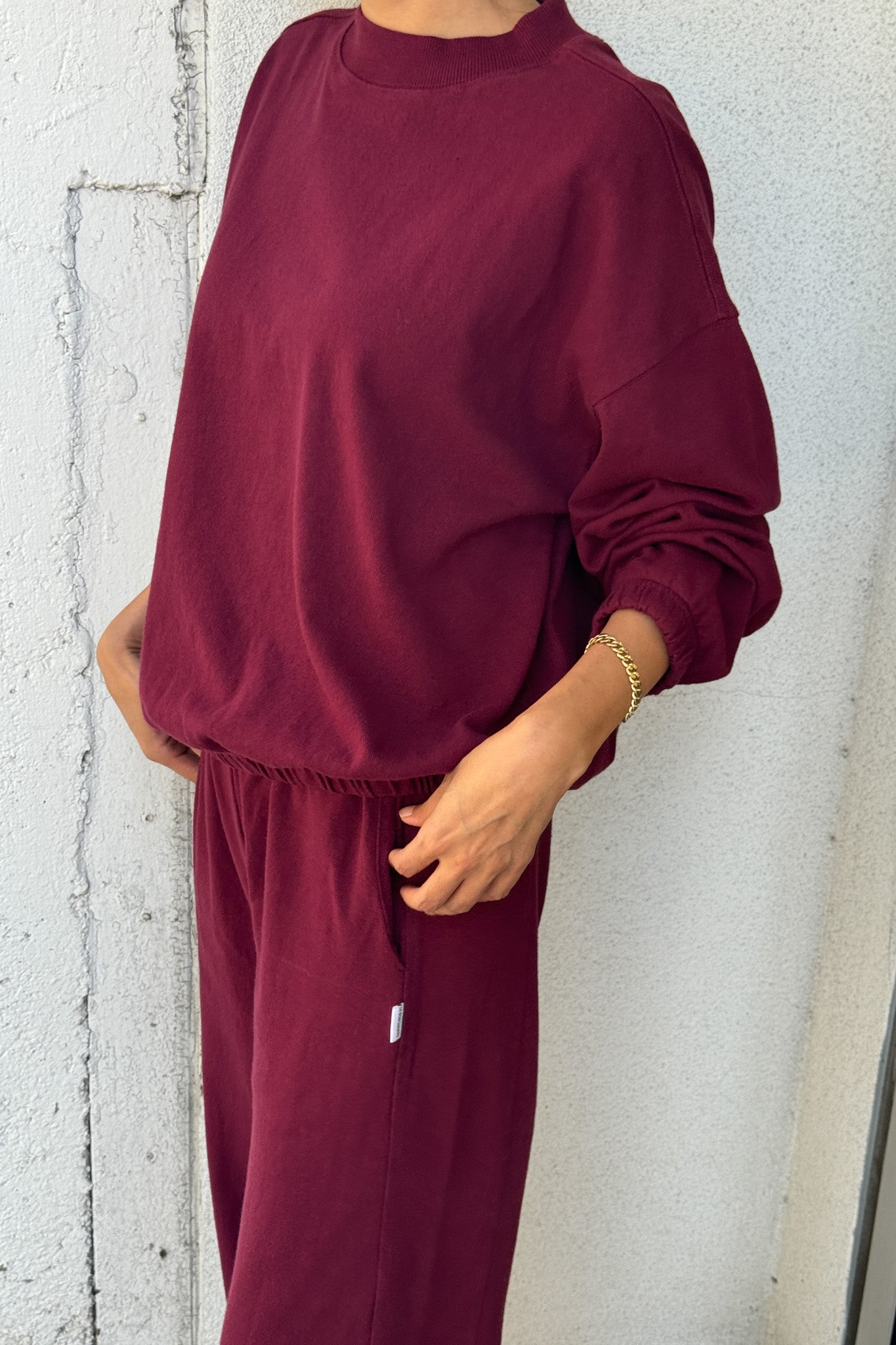 Le Bon Shoppe Daisy Long Sleeve Top | Cabernet