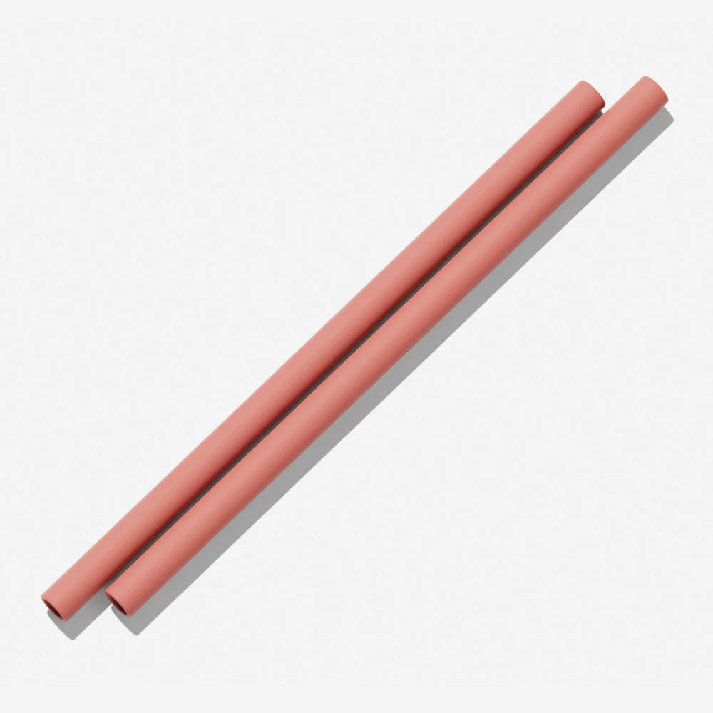 Silicone Straws | Clay