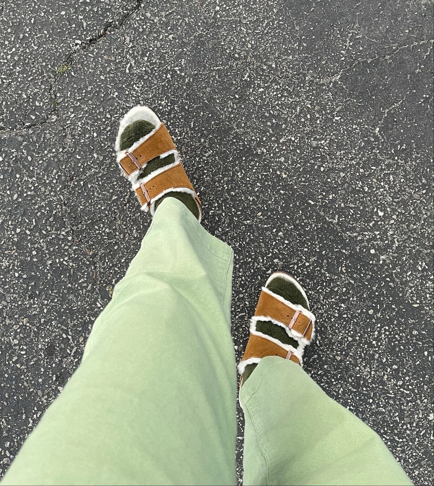 Le Bon Shoppe | Cloud Socks - Forest
