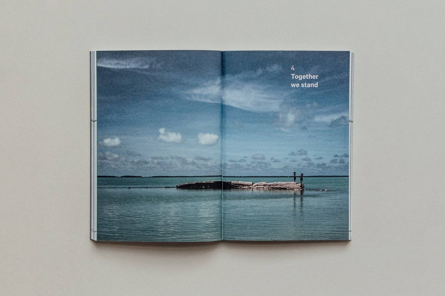 Do Earth, Guide to Community and Climate Change: Paperback