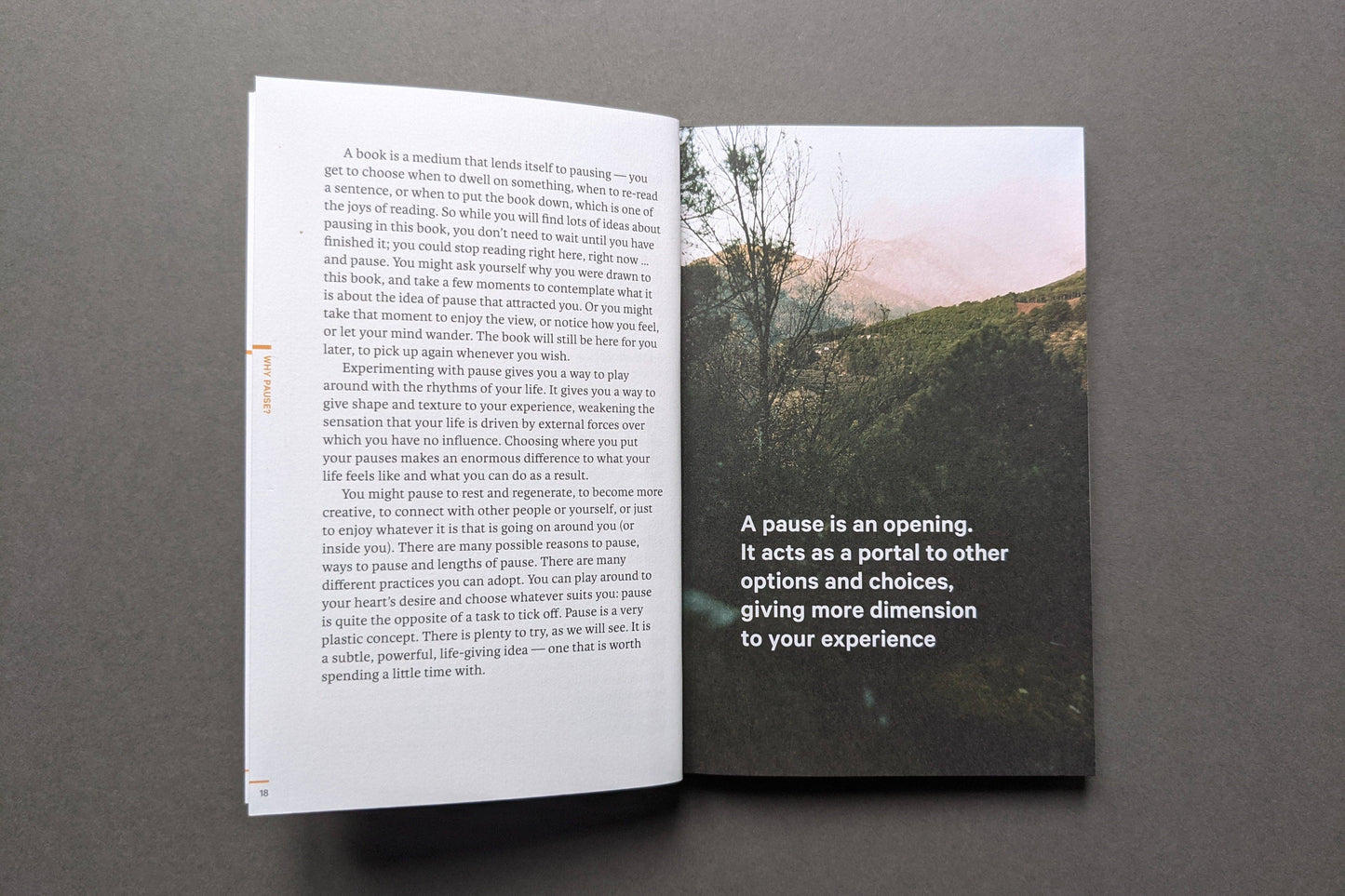 Do Pause, The Restorative Guide: Paperback