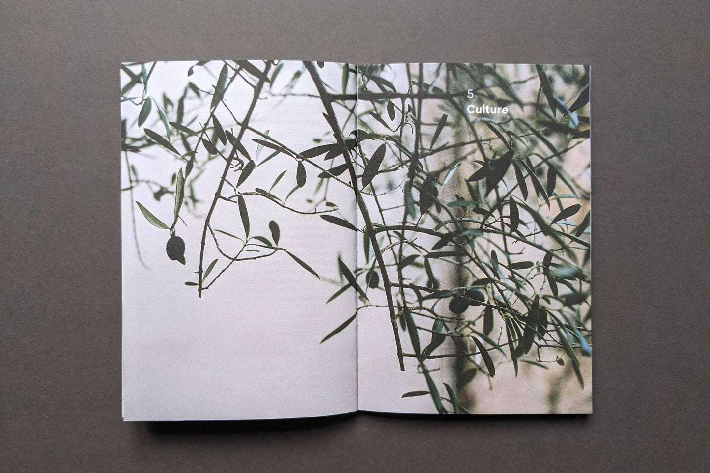 Do Pause, The Restorative Guide: Paperback