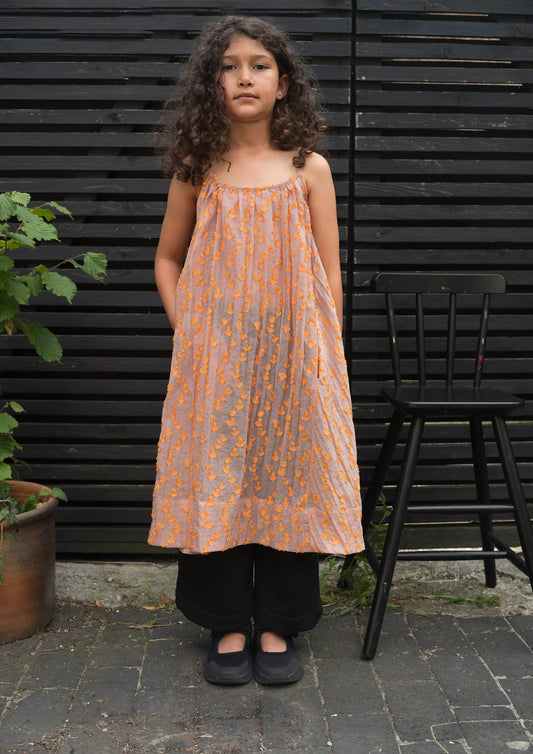 Cleo Sheer Dot Shift Dress