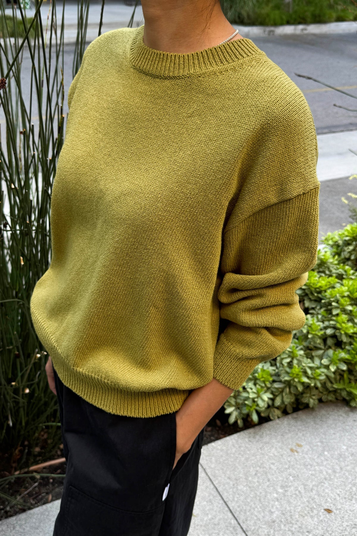 Milo Cotton Sweater | Golden Olive