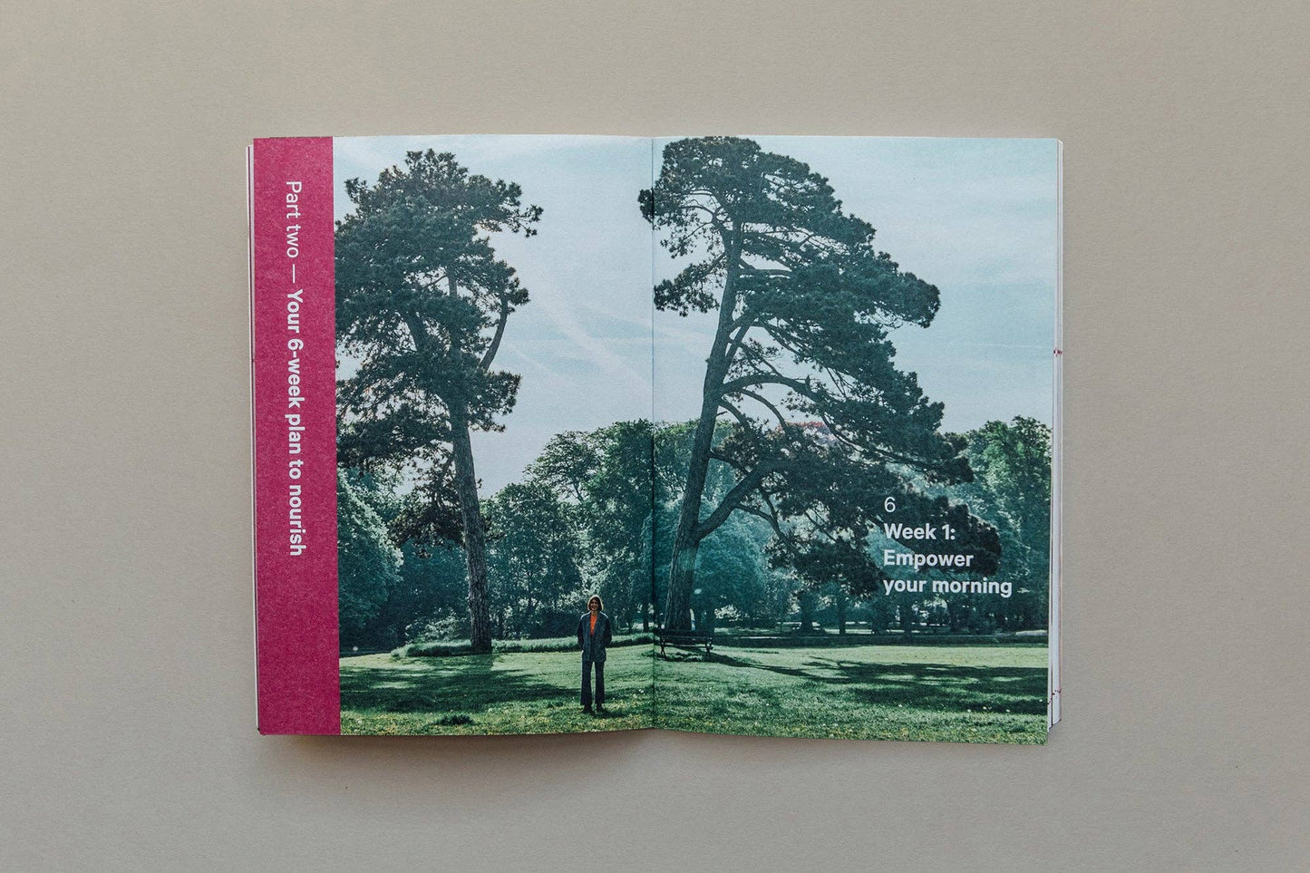 Do Nourish, Guide to Nutrition, Health and Resilience : Paperback