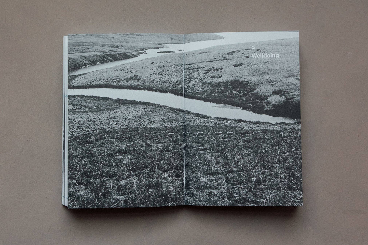 Do Breathe Book, Guide for Breathwork: Paperback