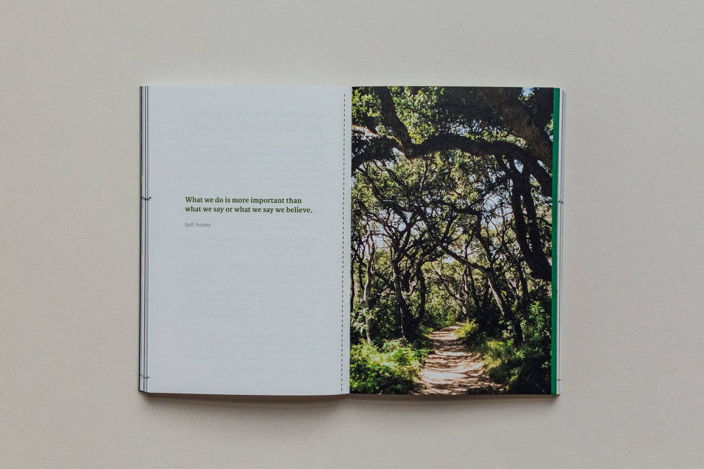 Do Earth, Guide to Community and Climate Change: Paperback