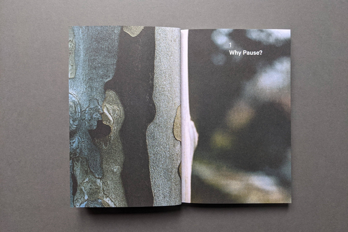 Do Pause, The Restorative Guide: Paperback