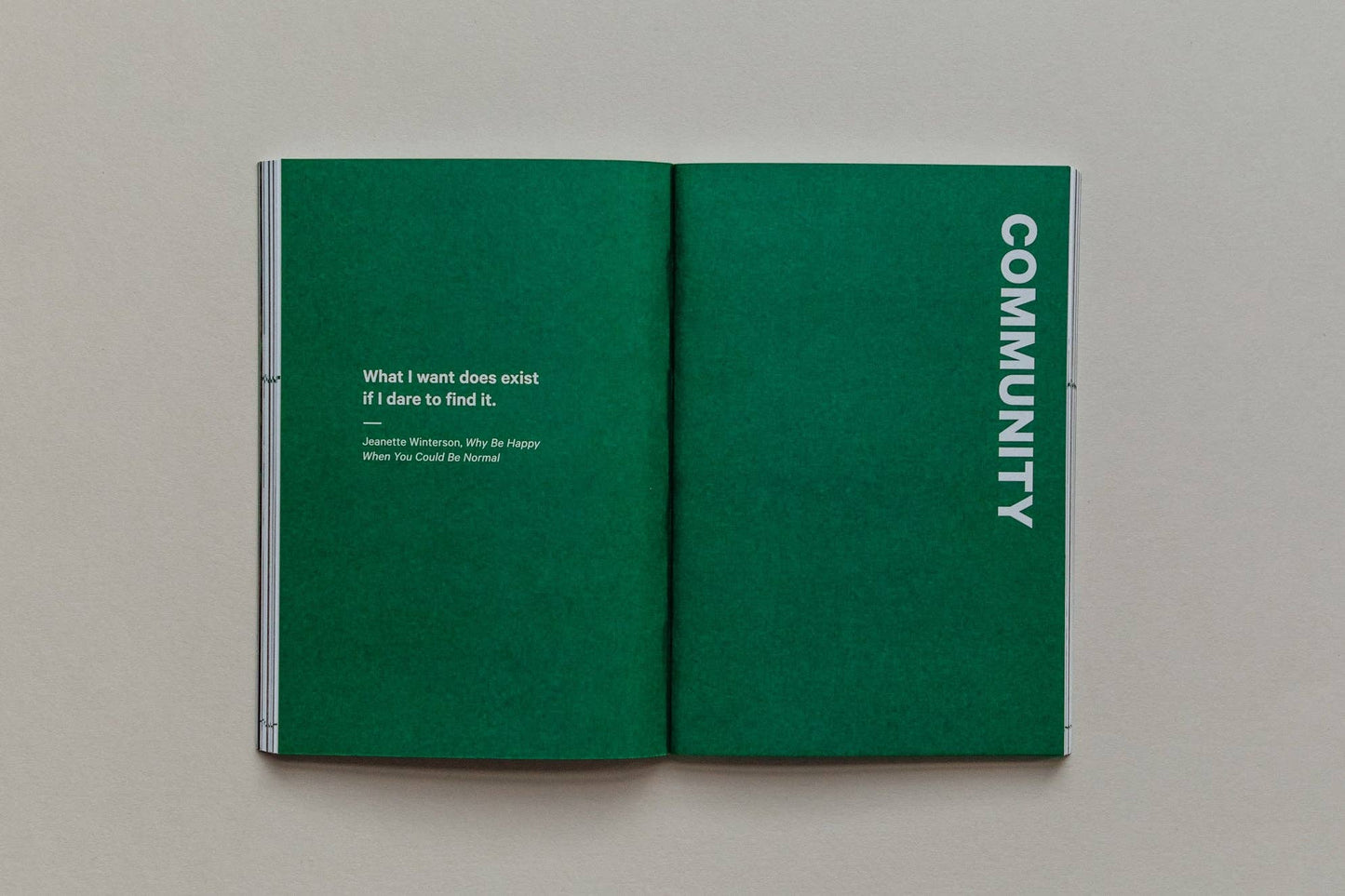 Do Earth, Guide to Community and Climate Change: Paperback