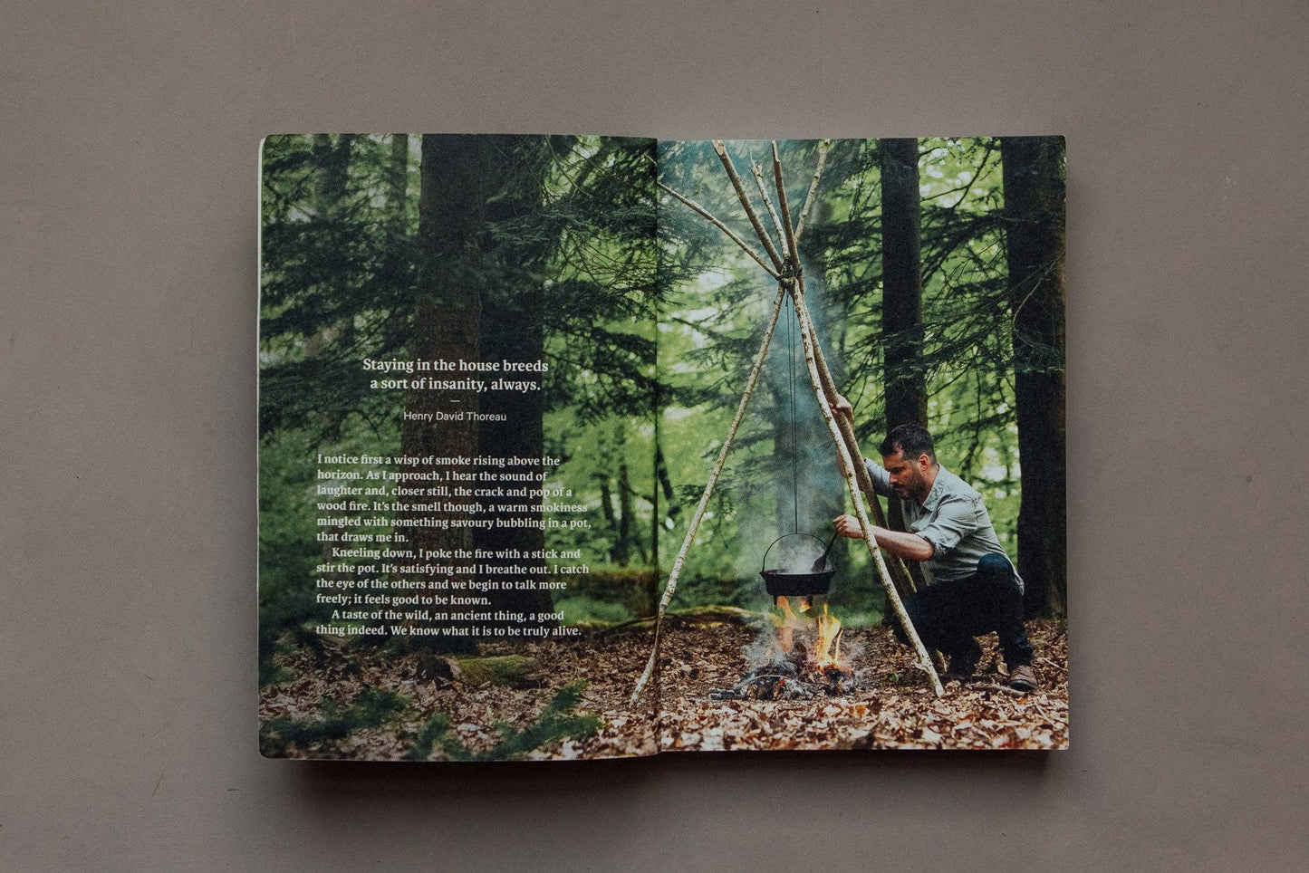 Do Wild Baking, Guide to Campfire Cooking & Adventurous Eats: Paperback